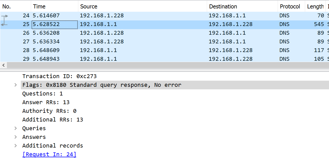 DNS dig trace capture