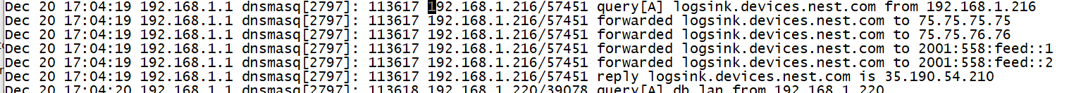 dnsmasq log section